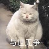 十万光年头像