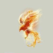 林一0107的个人资料头像