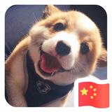 MrFu澪头像