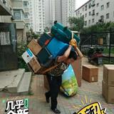 智者可乐M8D头像