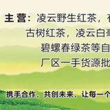 广西百色绿茶红茶六堡头像