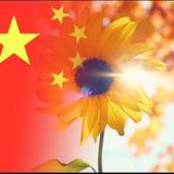 小时候一点都不调皮头像