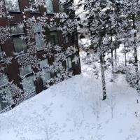 认真的河流2h9头像