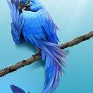 raison的个人资料头像