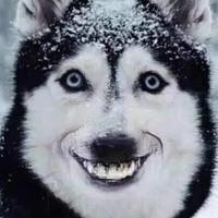 铲除黑色巧克力头像