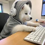 元多多866头像