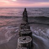 用户2318493737656头像