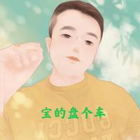 宝哥盘个车头像