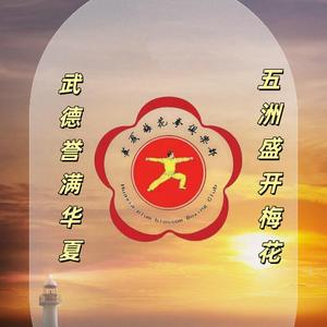 华夏梅花拳头像
