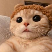 月巴二的个人资料头像