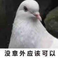 键盘侠大聪明头像