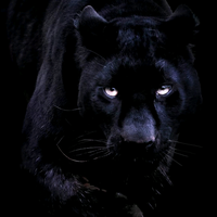 人生处处有伏笔头像