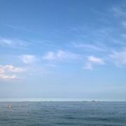 孟世伟的个人资料头像