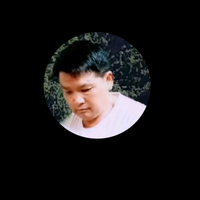 2911062805541头像