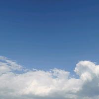 WOIf一PengdeZhong头像