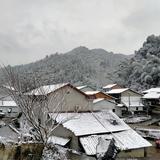 沿海岸奔跑1头像