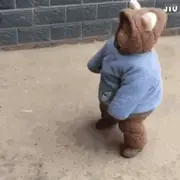 今天吃什么鱼的个人资料头像