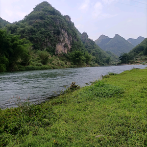 秦幔盛禾装饰公司头像