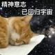 开不起a7 · 奥迪A4L车主·车龄2年头像