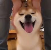 做人求其滴的个人资料头像