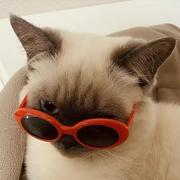 午夜悲伤俱乐部的个人资料头像