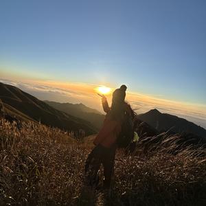 一只柒柒柒柒柒头像