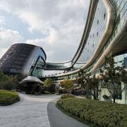 zhaopengfei1112的个人资料头像