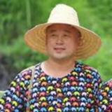 宝君123456头像