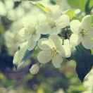 Andney的个人资料头像