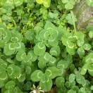 A0海阔天空的个人资料头像