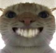 suen的个人资料头像