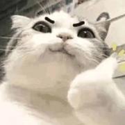 王家南的个人资料头像