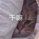 一见入秋 · 领克03车主·车龄2年头像