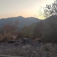 用户975004653655头像