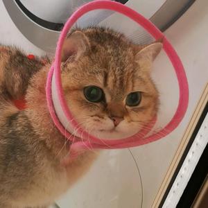 八方来财财源广进生财有道事事如意头像