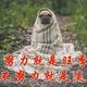 小小龙14头像