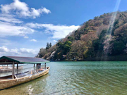 R_min的个人资料头像