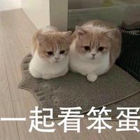 「何」出此言头像
