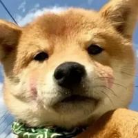 濫好人728头像