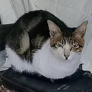 Johnsonxu的个人资料头像