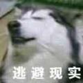 老六夜了头像