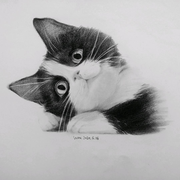 King汀的个人资料头像