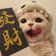 合气生材的个人资料头像