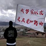 小张16665头像