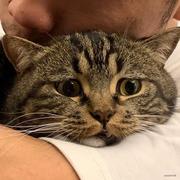 包纸的个人资料头像