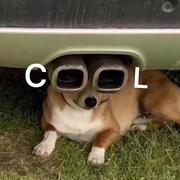 诶诶诶405的个人资料头像