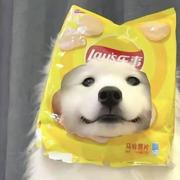 青柴Kevin的个人资料头像