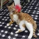 今天的牛肉面还不错吧的个人资料头像