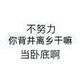 摆烂的苏小山头像