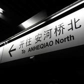 一路向北好么头像